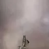 Bolso de mano pequeño con bandolera Bolso de mano pequeño con bandolera