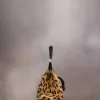 Bolso pequeño arrebatado