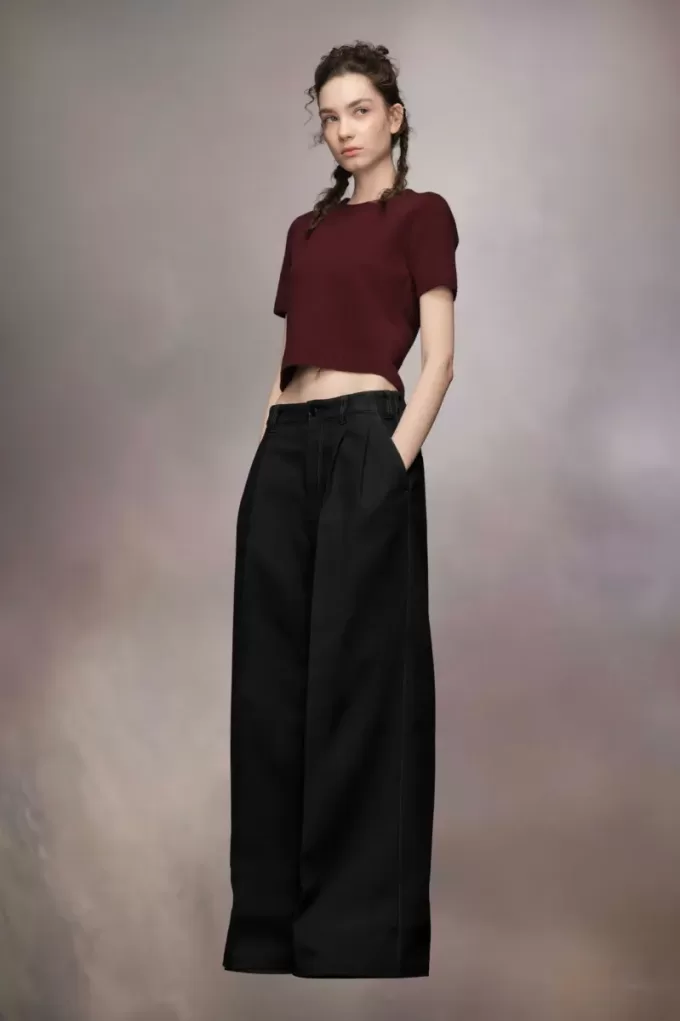 Pantalones de lana plisados Pantalones de lana plisados